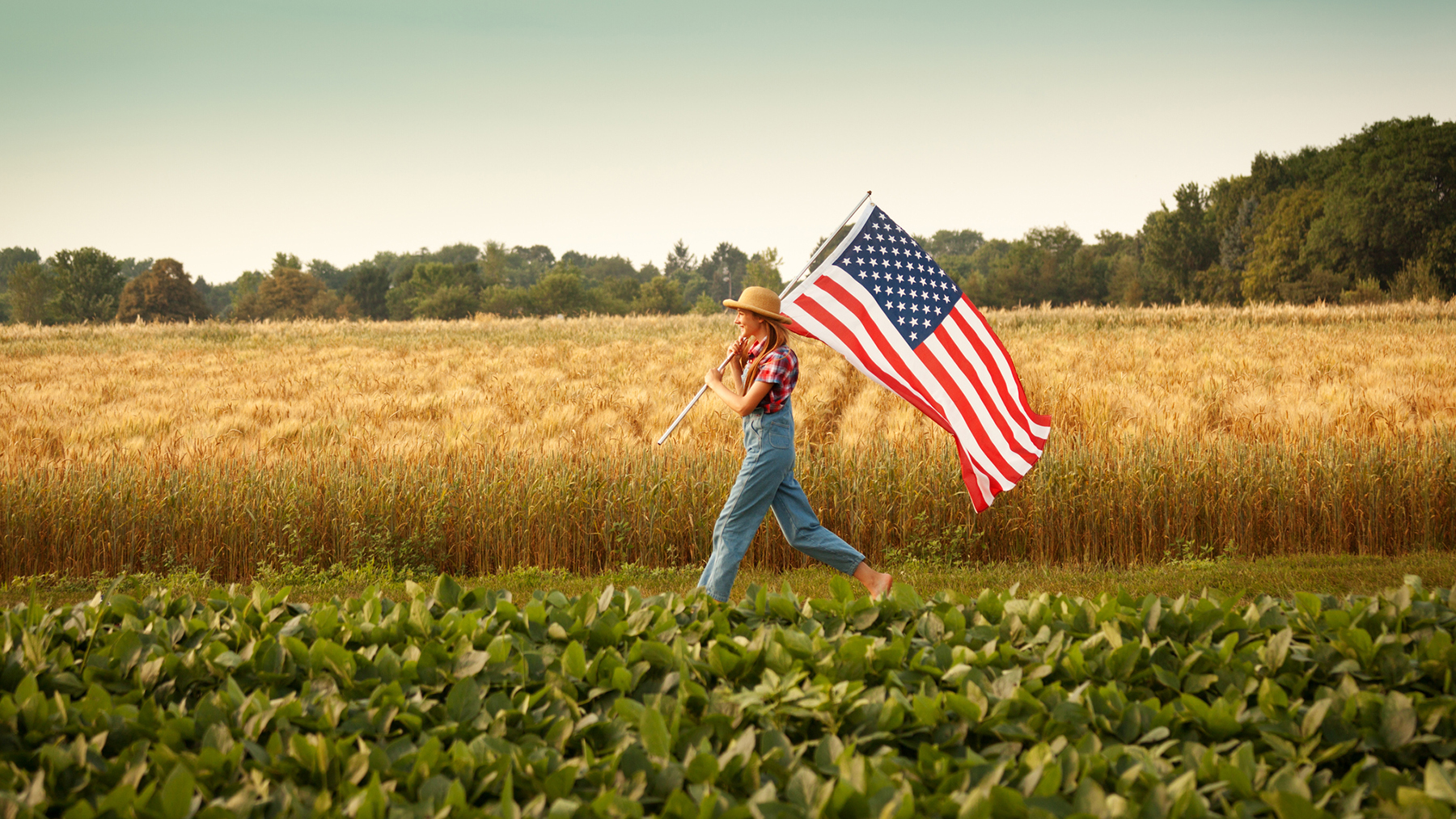 Сх сша. Аграрный сектор США. Сельскохозяйственность США. Земли сельскохозяйственные Америки. Растениеводство США.