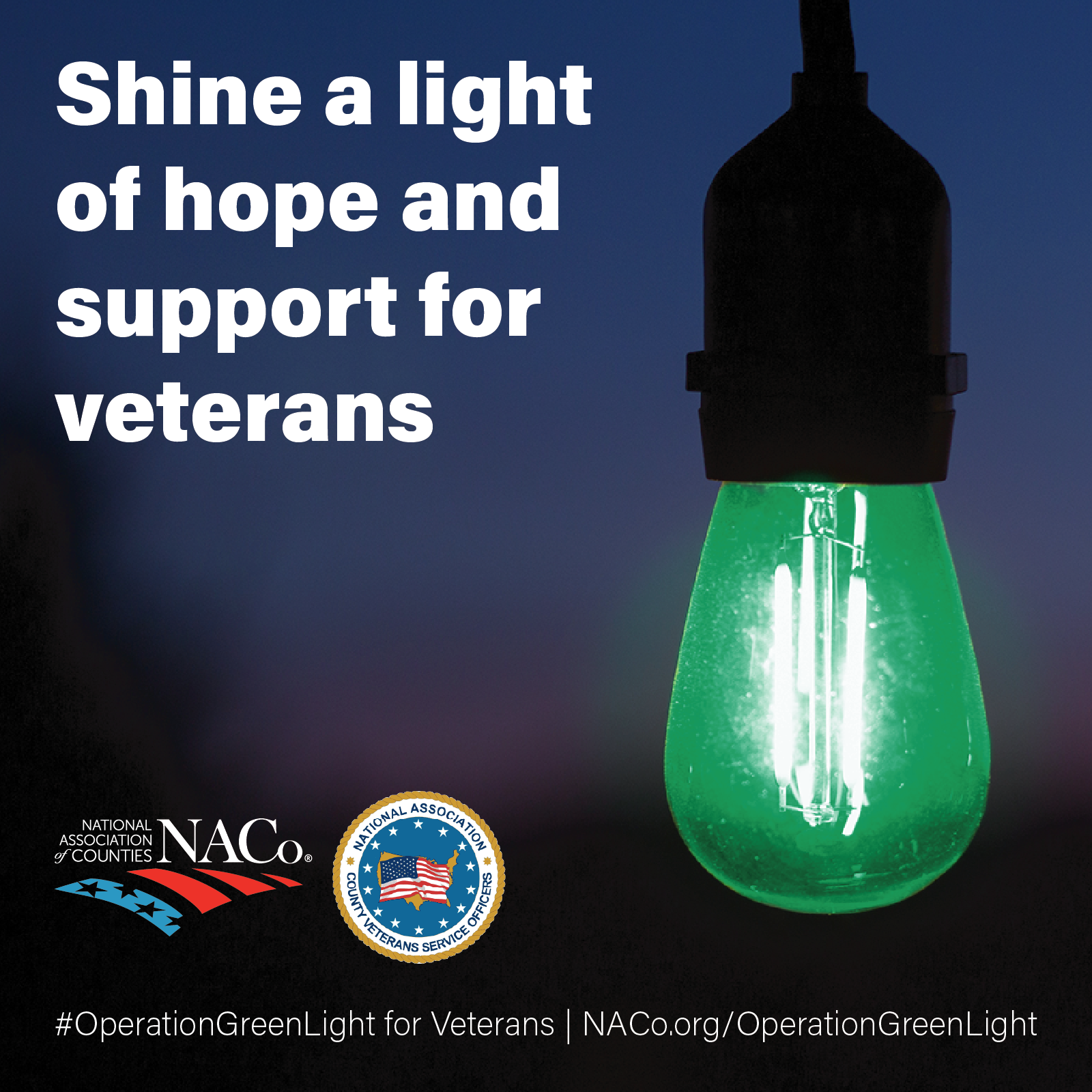 Operation Green Light for Veterans County Toolkit