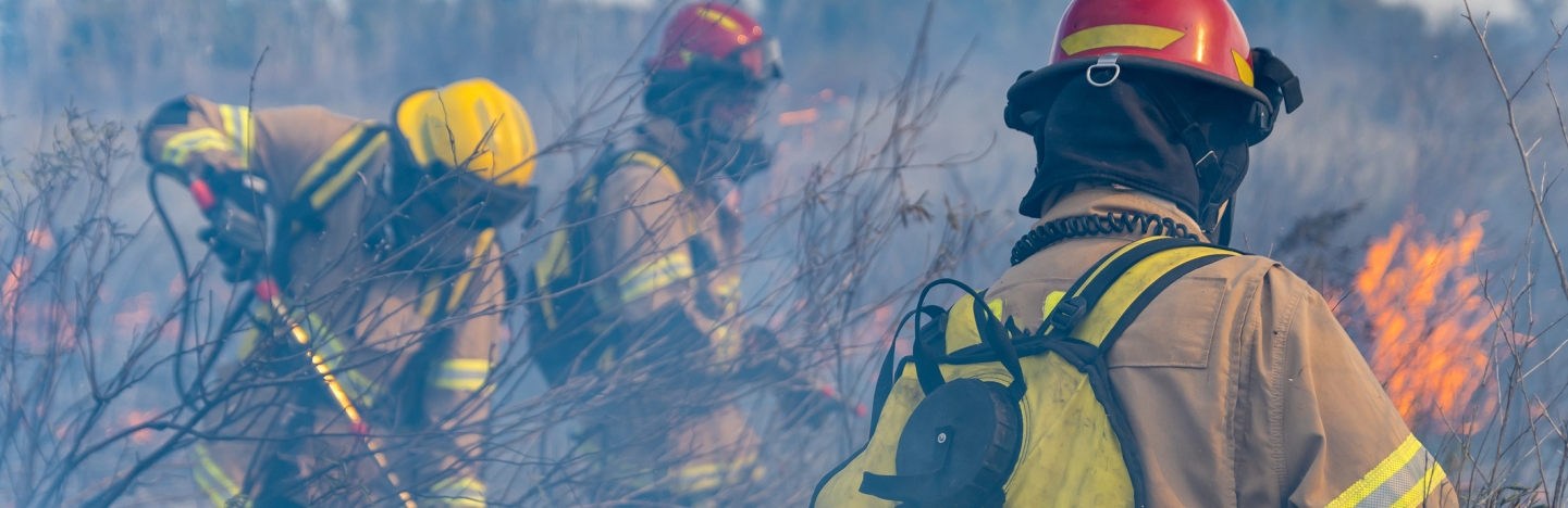 Firefighters