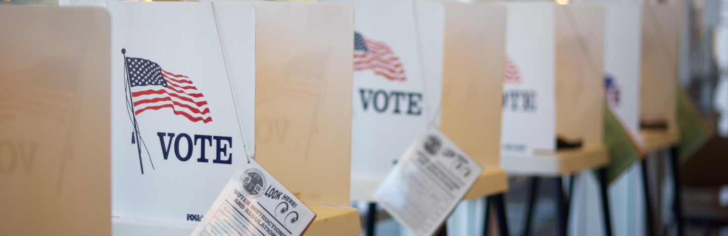 Voting booths in a row