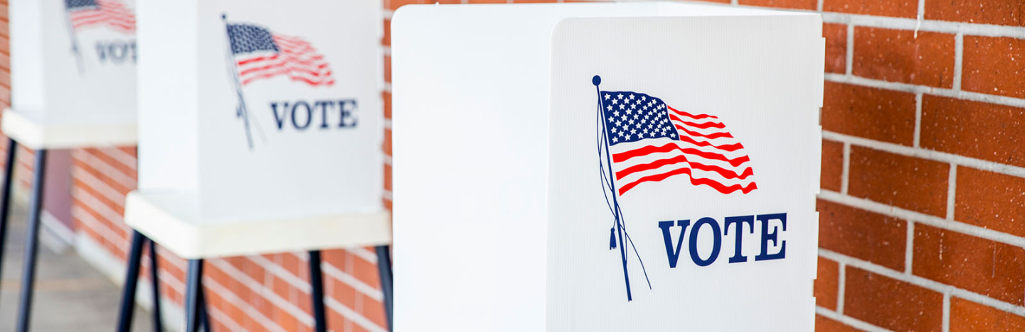 Image of Elections.jpg