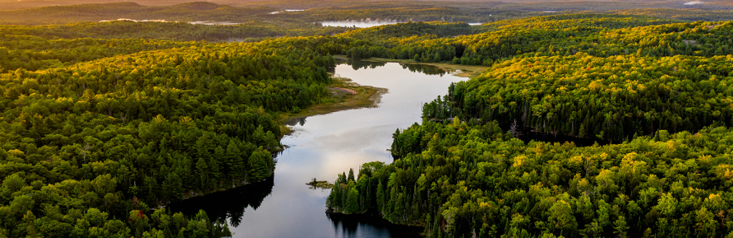 Image of GettyImages-1043560968.jpeg