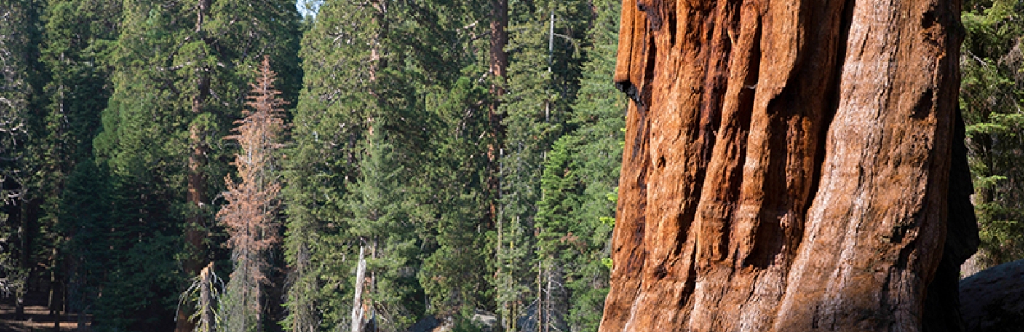 Public Lands.jpg Image of Public Lands.jpg
