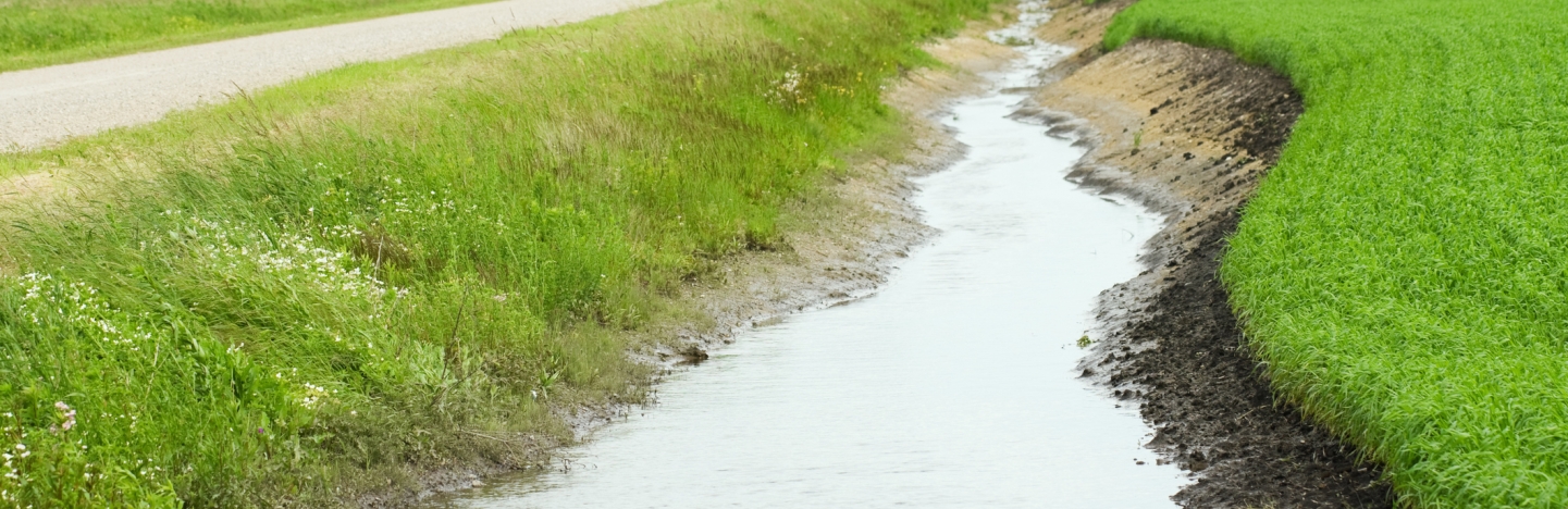 WOTUS_7.jpg Image of WOTUS_7.jpg