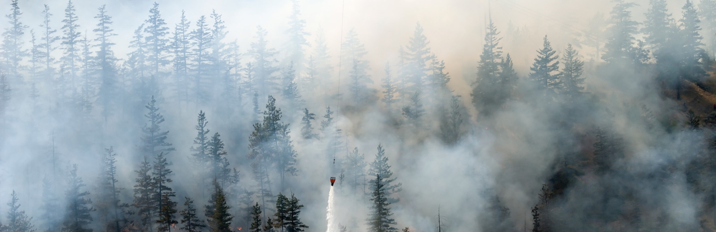 wildfires_cover.jpg Image of wildfires_cover.jpg
