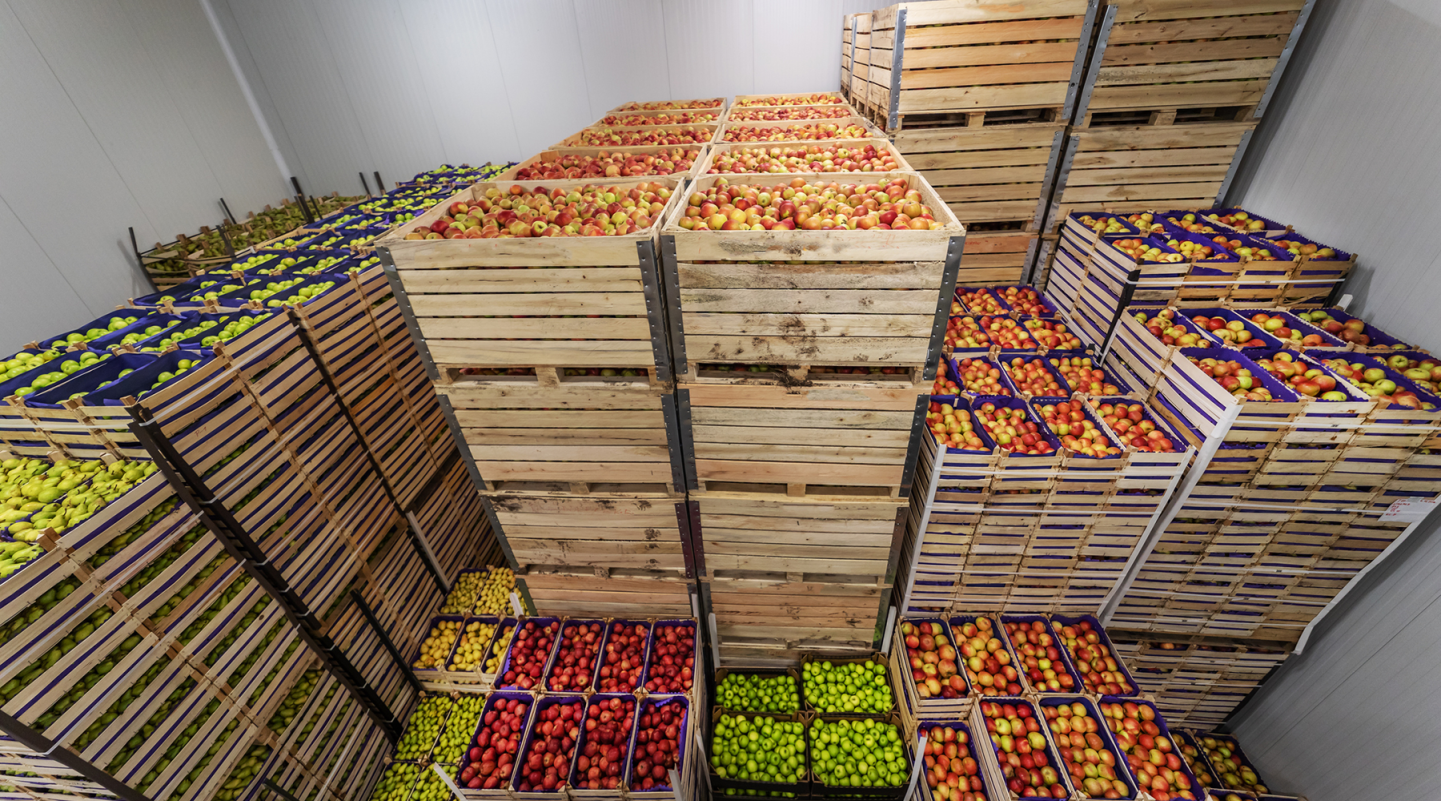 Boxes of produce