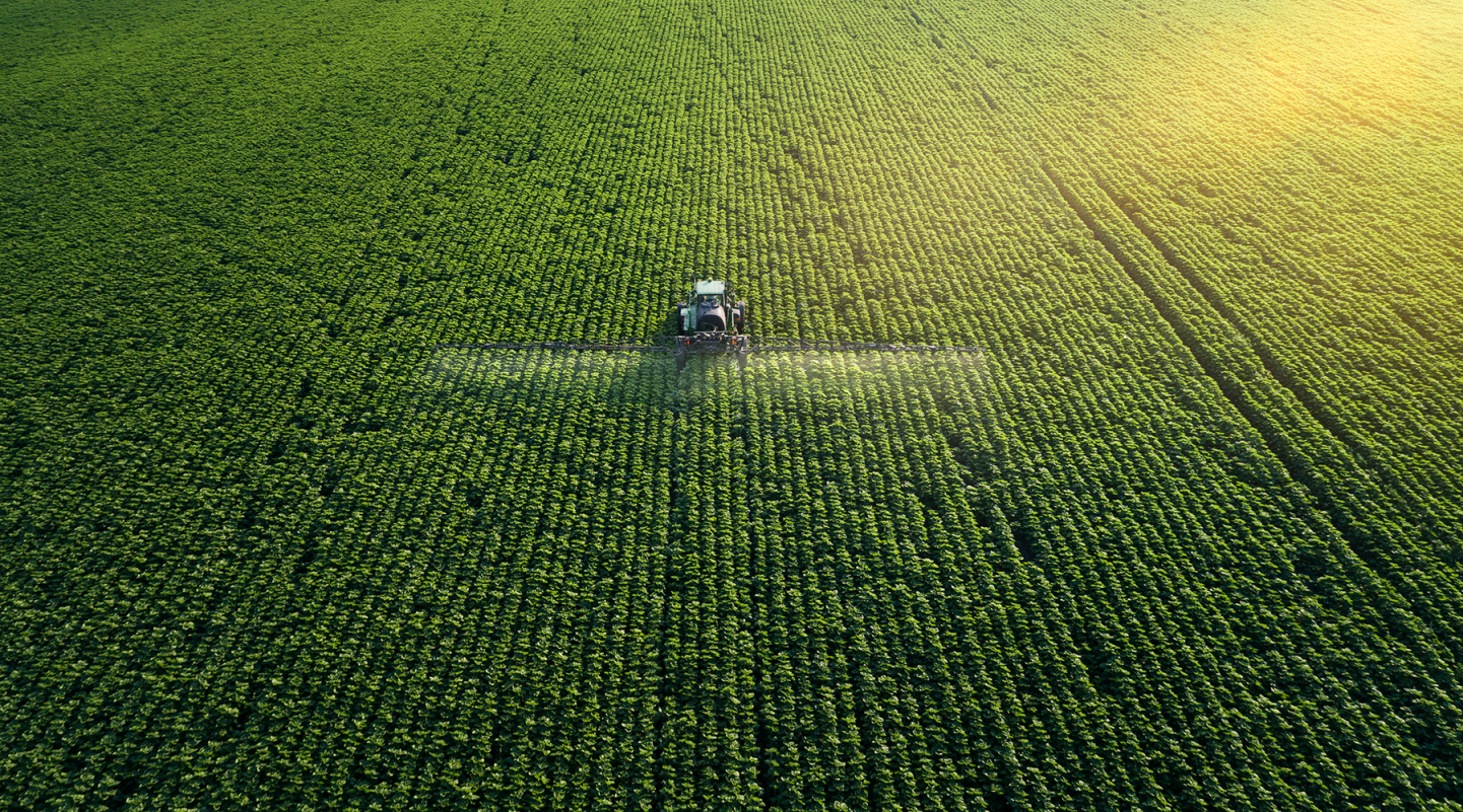 Cropfields