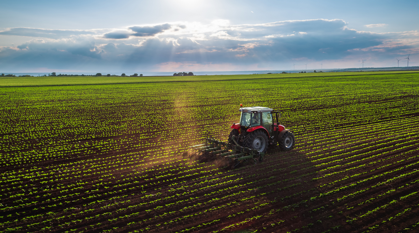 Tractor cultivating field