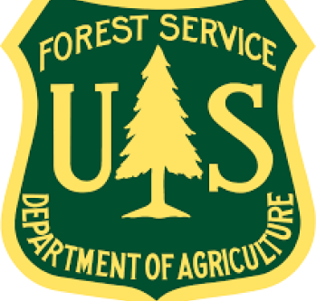 Image of PIC_Forest Service.png