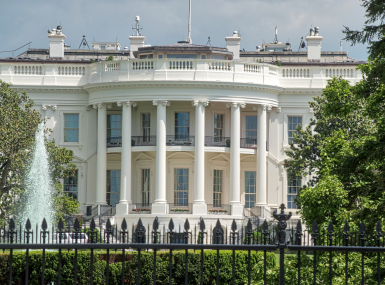 White House Image