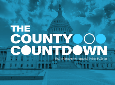 THE_County Countdown_working_image-4.png