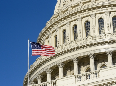 Closeup of Capitol and flag