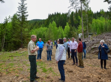 Western Interstate Region Conference attendees explore the Colville National Forest in Stevens County, Wash. during a 2019 conference mobile workshop. Photo by Charlie Ban