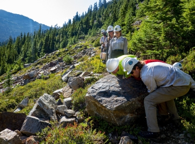 Volunteers move a boulder near the Pacific Crest Trail under the supervision of U.S. Forest Service personnel as depicted in a photo that received honorable mention in the 2020 Pacific Crest Trail Association photo contest. Photo by Mark de Hoo