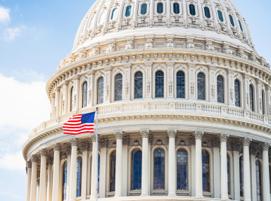 US Capitol Building close-up