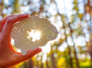 Holding Puzzle Piece Shaped Like Brain With Sunlight Background