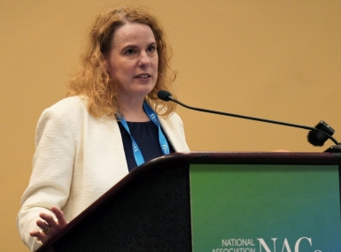 Maureen McGuigan, Lackawanna County’s deputy director of arts and culture, talks July 12 to members of the NACo Arts and Culture Innovation Council. Photo by Leon Lawrence III.