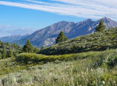 Public Lands Counties