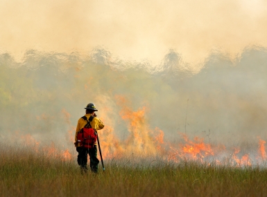 Wildfire in Everglades
