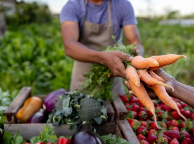 Close-up on a man selling carrots at a farmer's market