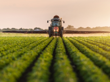 Farming
