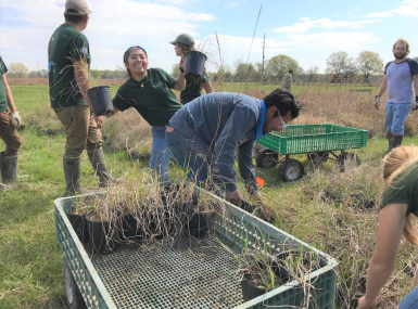 Members of Student Conservation Association’s GulfCorps, who perform critical invasive species removal and shoreline restoration along the Gulf Coast, volunteer at the Armand Bayou Nature Center.