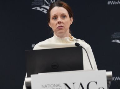 Cheryl Vincent Freiman, majority staff director of the House Ways and Means Subcommittee on Work and Welfare, discusses foster care initiatives Feb. 21 at the Human Services and Education Policy Steering Committee meeting. Photo by Leon Lawrence III