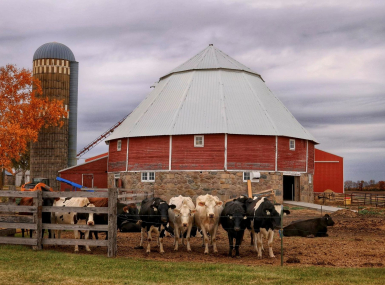 Stearns County is Minnesota’s top-milk producing county and is home to more than 500 dairy farms, according to The Minnesota Department of Agriculture.