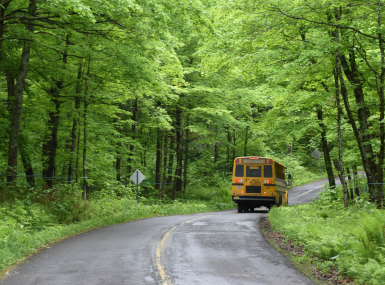 School bus on wooded road