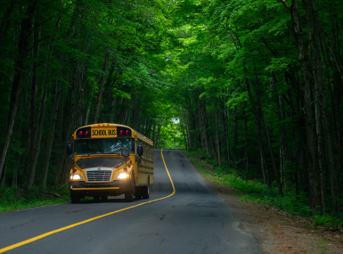 School bus on wooded road