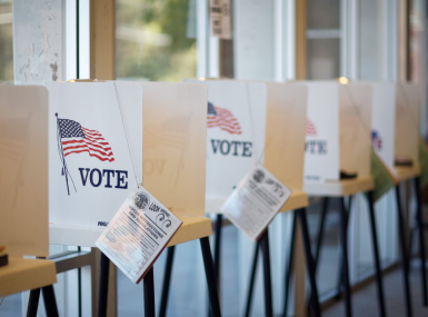 Voting booths in a row