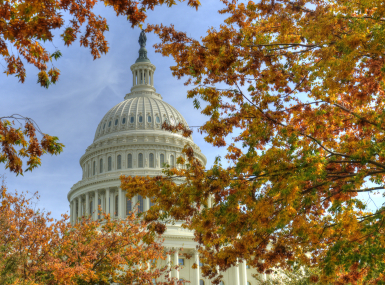Image of Capitol-fall-leaves.jpg