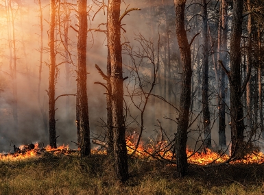 Image of GettyImages-925879444.jpg