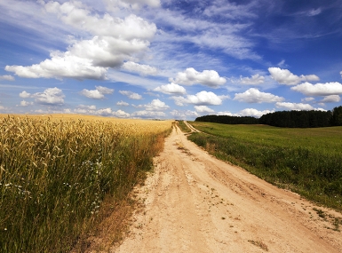 Image of rural-3_6.jpg