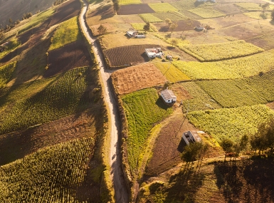 Image of rural-aerial.jpg