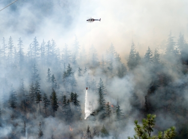 wildfires_cover.jpg Image of wildfires_cover.jpg