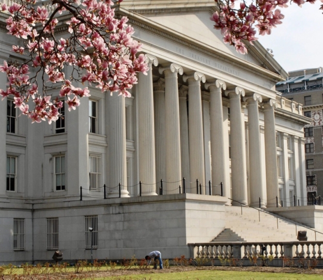 Cherry Blossom Capital Image