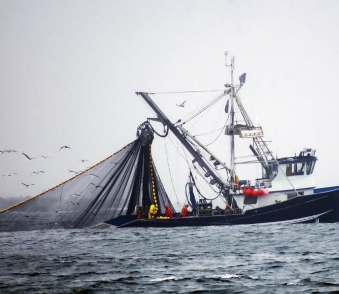 Fishing boat