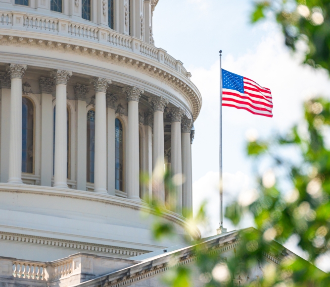 US Capitol Building close-up