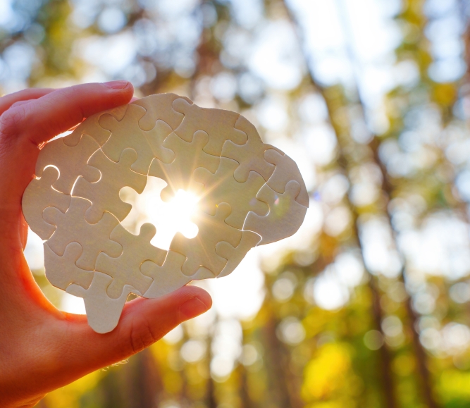 Holding Puzzle Piece Shaped Like Brain With Sunlight Background
