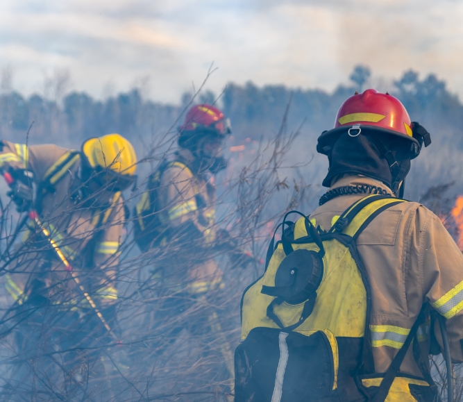 Firefighters