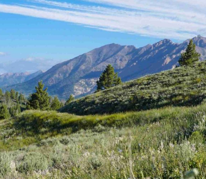 Public Lands Counties