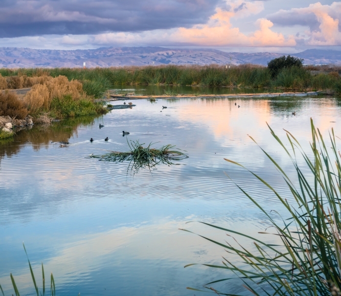 Sunset landscape of the marshes of south San Francisco bay, Sunnyvale, California