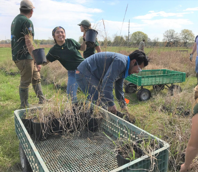 GulfCorps-at-Artist-Boat-and-Armand-Bayou-Nature-Center