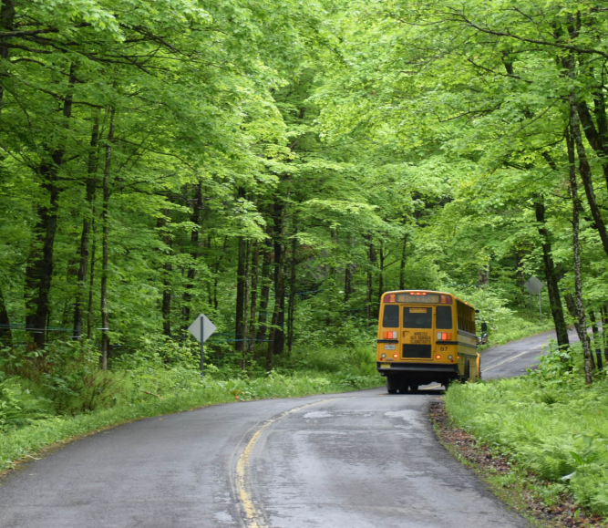 School bus on wooded road