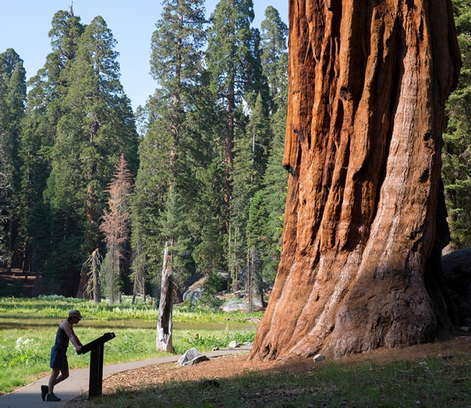 Image of Public Lands.jpg