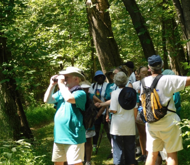 2019-senior-camp-Bird-Watching-5.jpg Image of 2019-senior-camp-Bird-Watching-5.jpg