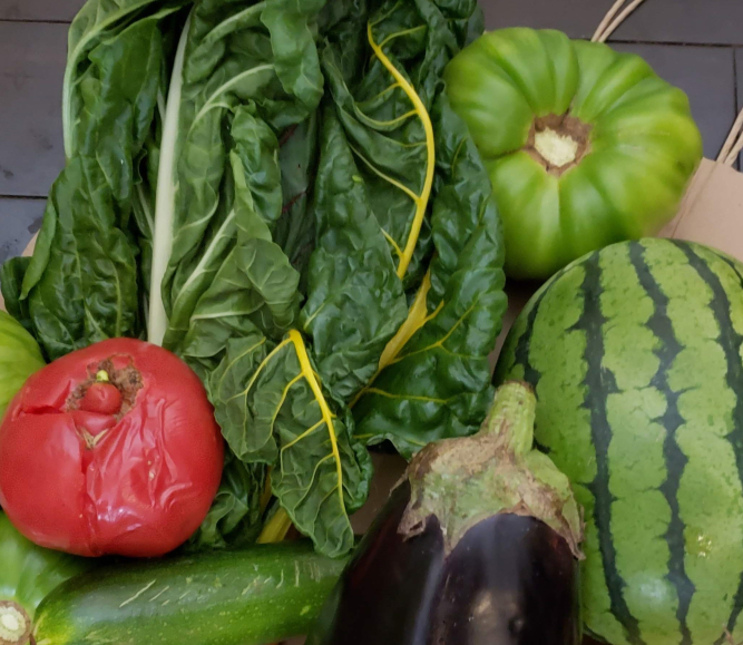 Image of Erie-Grown-1.jpeg