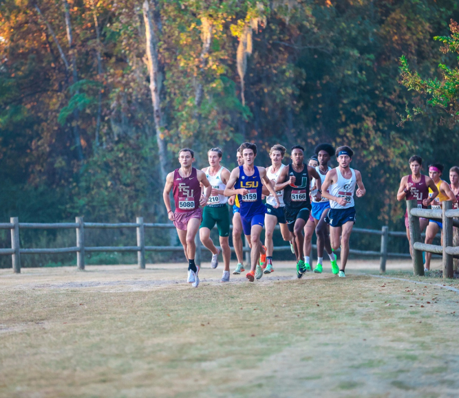 Image of leon-county-parks-1.jpg