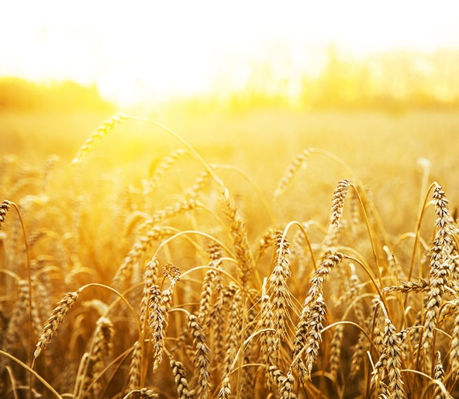 rural-2.jpg Image of rural-2.jpg